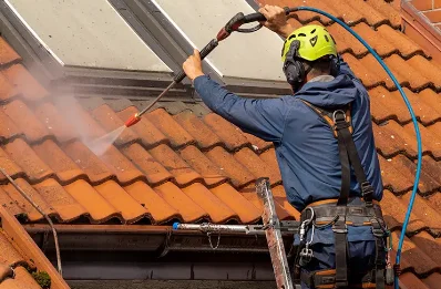Démoussage et hydrofuge de toiture au Pin